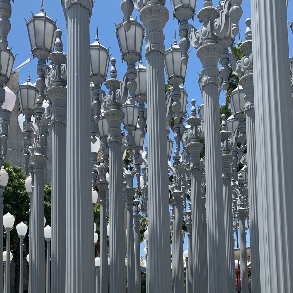 Meet your Posher, Zayd